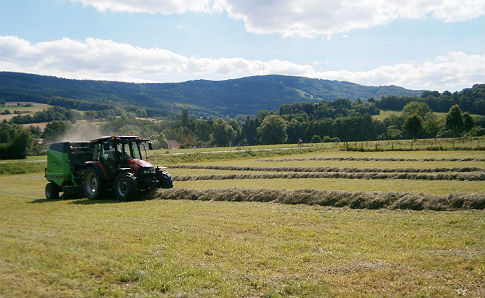 Heuernte in Rhön